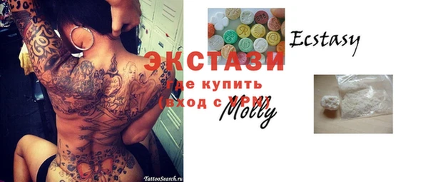 стафф Арсеньев
