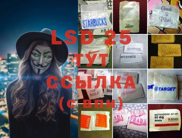 стаф Алзамай